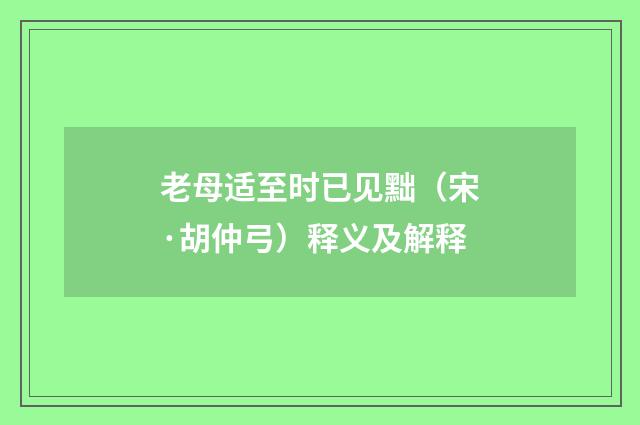 老母适至时已见黜（宋·胡仲弓）释义及解释