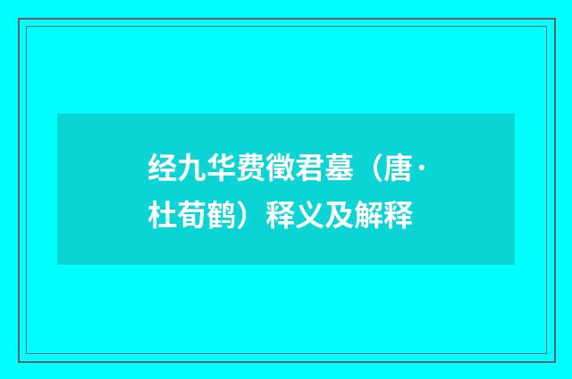 经九华费徵君墓（唐·杜荀鹤）释义及解释
