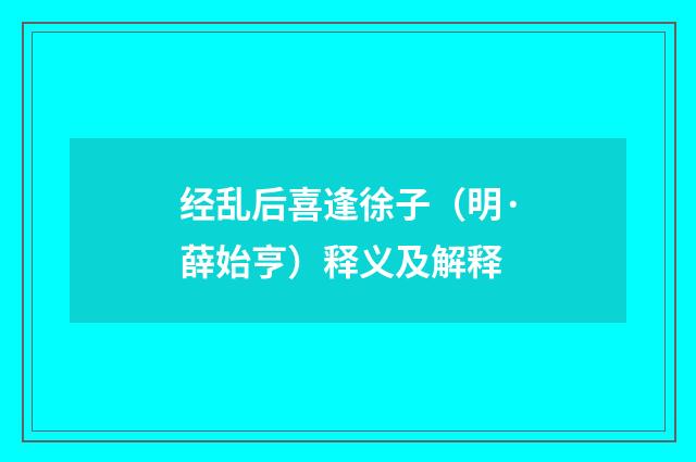 经乱后喜逢徐子（明·薛始亨）释义及解释