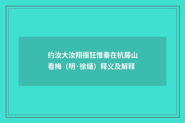 约汝大汝翔振狂惟秦在杭藤山看梅（明·徐熥）释义及解释