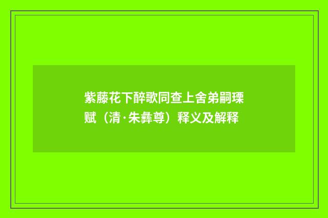 紫藤花下醉歌同查上舍弟嗣瑮赋（清·朱彝尊）释义及解释