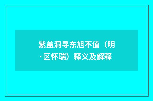 紫盖洞寻东旭不值（明·区怀瑞）释义及解释