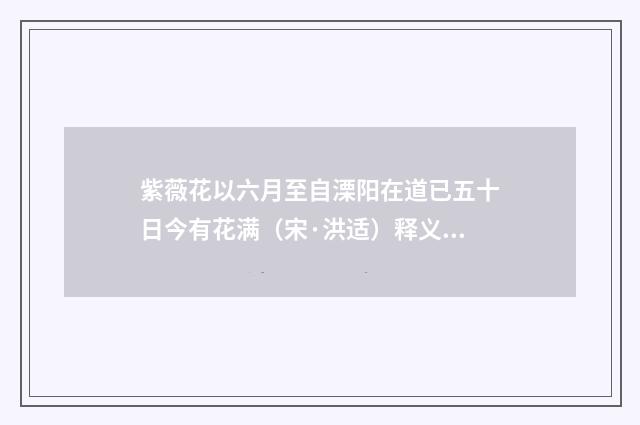 紫薇花以六月至自溧阳在道已五十日今有花满（宋·洪适）释义及解释
