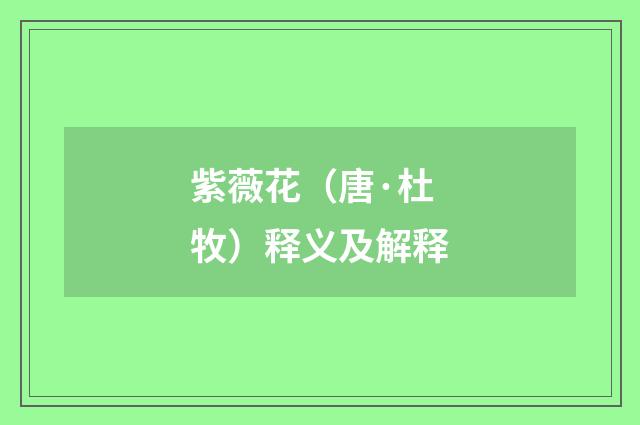 紫薇花（唐·杜牧）释义及解释