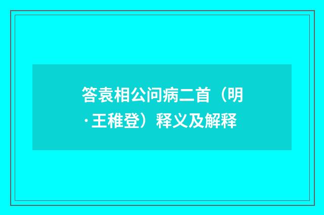 答袁相公问病二首（明·王稚登）释义及解释