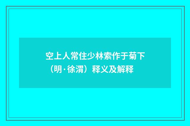 空上人常住少林索作于菊下（明·徐渭）释义及解释