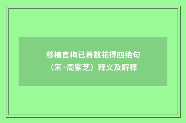 移植官梅已着数花得四绝句（宋·周紫芝）释义及解释