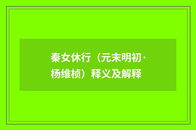 秦女休行（元末明初·杨维桢）释义及解释