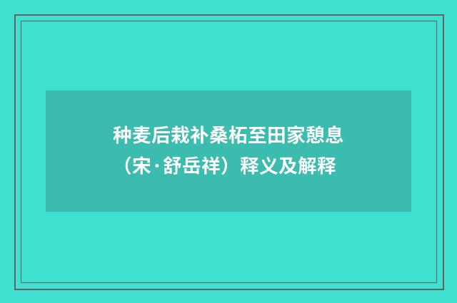 种麦后栽补桑柘至田家憩息（宋·舒岳祥）释义及解释
