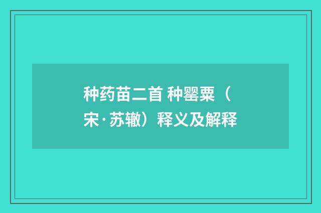 种药苗二首 种罂粟（宋·苏辙）释义及解释