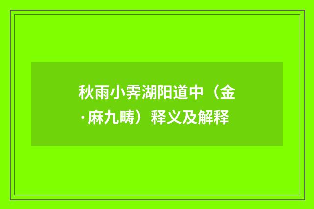 秋雨小霁湖阳道中（金·麻九畴）释义及解释