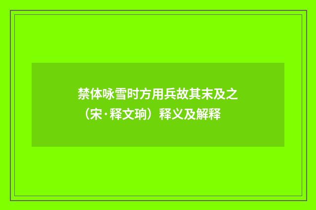 禁体咏雪时方用兵故其末及之（宋·释文珦）释义及解释