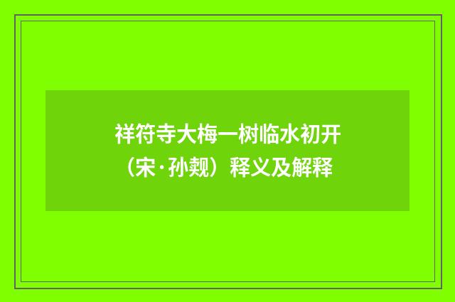 祥符寺大梅一树临水初开（宋·孙觌）释义及解释