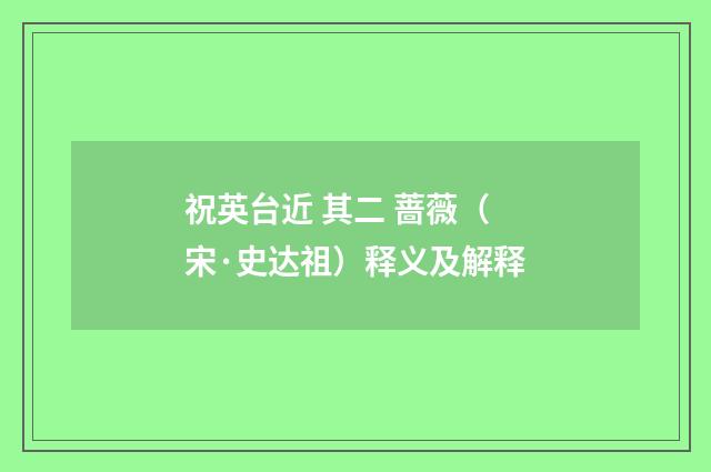 祝英台近 其二 蔷薇（宋·史达祖）释义及解释