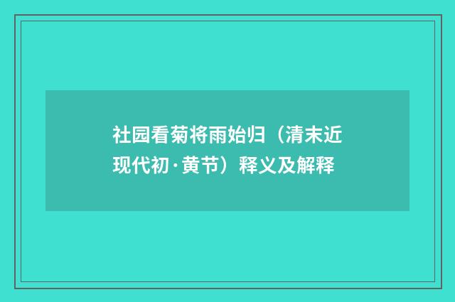 社园看菊将雨始归（清末近现代初·黄节）释义及解释