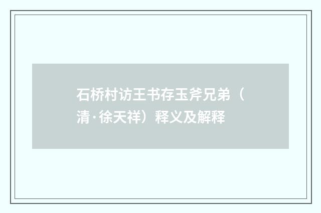 石桥村访王书存玉斧兄弟（清·徐天祥）释义及解释