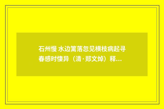 石州慢 水边篱落忽见横枝病起寻春感时悽异（清·郑文焯）释义及解释