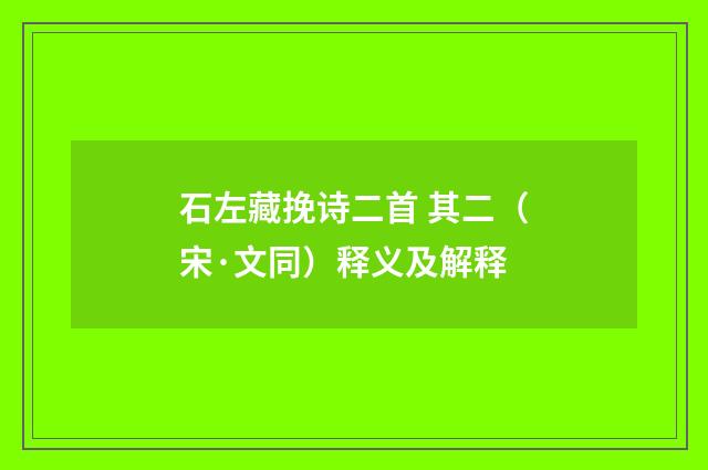 石左藏挽诗二首 其二（宋·文同）释义及解释