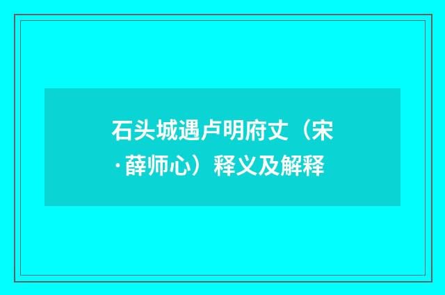 石头城遇卢明府丈（宋·薛师心）释义及解释
