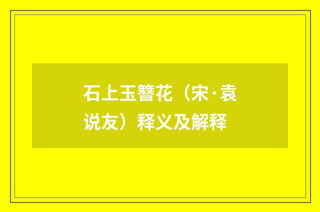 石上玉簪花（宋·袁说友）释义及解释