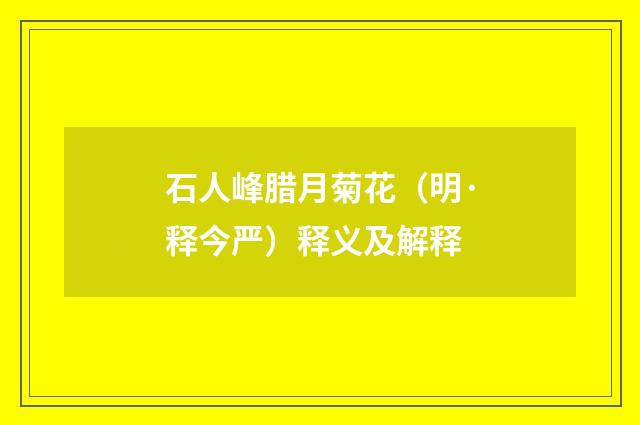 石人峰腊月菊花（明·释今严）释义及解释