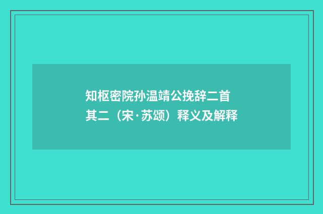 知枢密院孙温靖公挽辞二首 其二（宋·苏颂）释义及解释