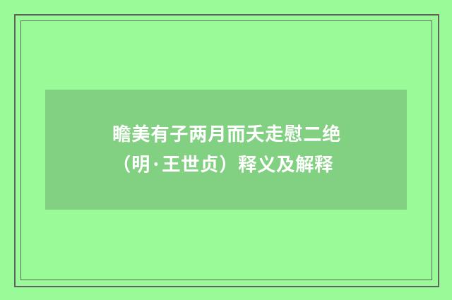 瞻美有子两月而夭走慰二绝（明·王世贞）释义及解释