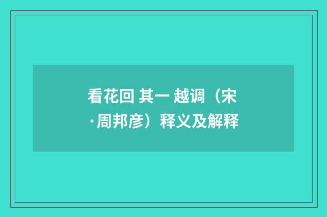 看花回 其一 越调（宋·周邦彦）释义及解释