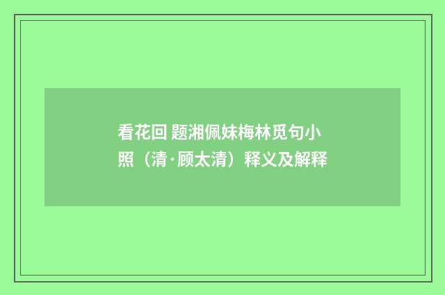看花回 题湘佩妹梅林觅句小照（清·顾太清）释义及解释