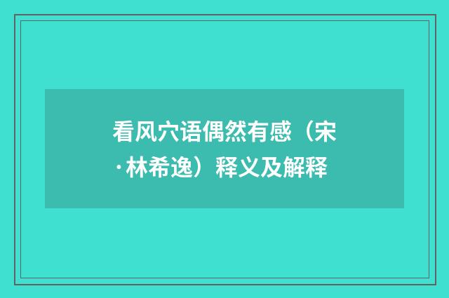 看风穴语偶然有感（宋·林希逸）释义及解释