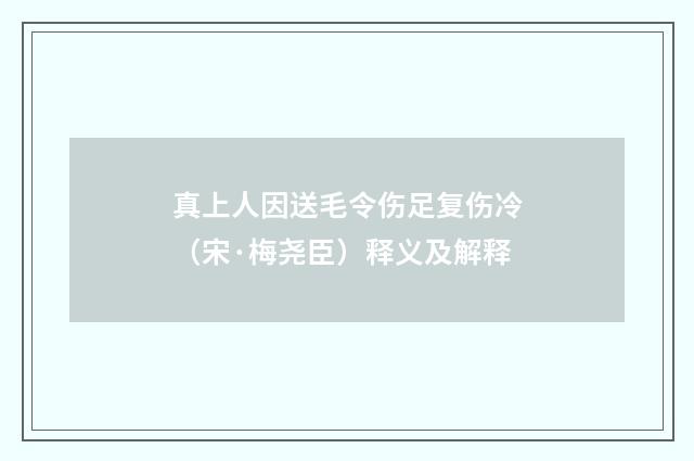 真上人因送毛令伤足复伤冷（宋·梅尧臣）释义及解释