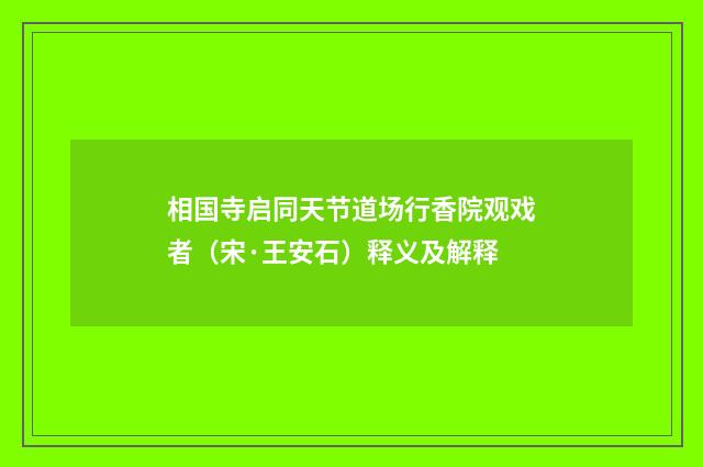 相国寺启同天节道场行香院观戏者（宋·王安石）释义及解释