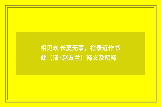 相见欢 长夏无事，检录近作书此（清·赵友兰）释义及解释
