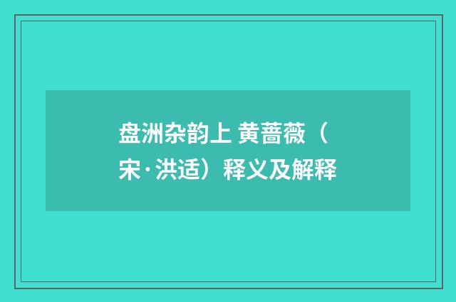盘洲杂韵上 黄蔷薇（宋·洪适）释义及解释