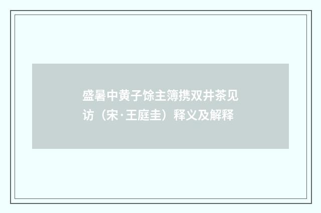 盛暑中黄子馀主簿携双井茶见访（宋·王庭圭）释义及解释