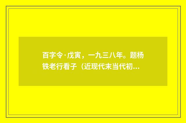 百字令·戊寅，一九三八年。题杨铁老行看子（近现代末当代初·黄咏雩）释义及解释