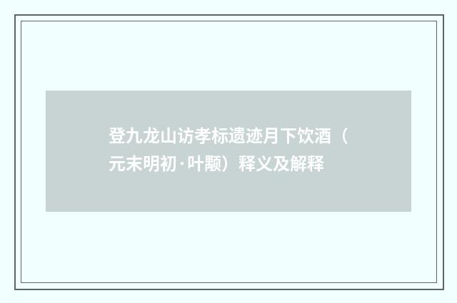 登九龙山访孝标遗迹月下饮酒（元末明初·叶颙）释义及解释