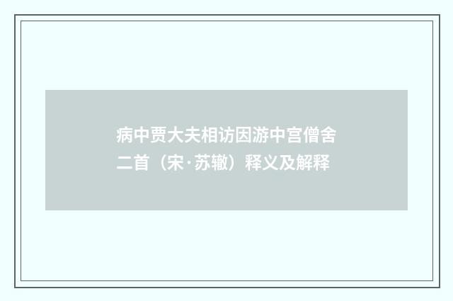 病中贾大夫相访因游中宫僧舍二首（宋·苏辙）释义及解释