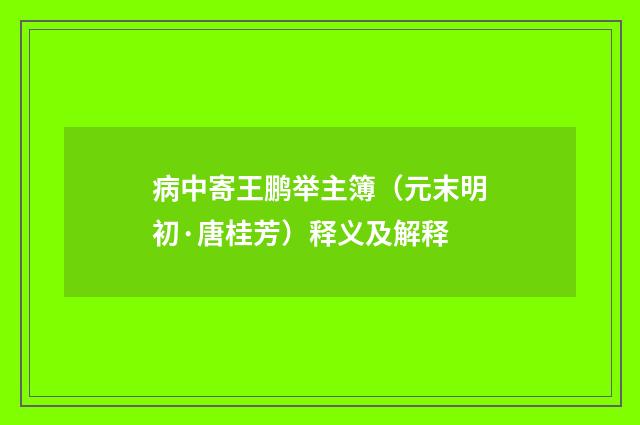 病中寄王鹏举主簿（元末明初·唐桂芳）释义及解释