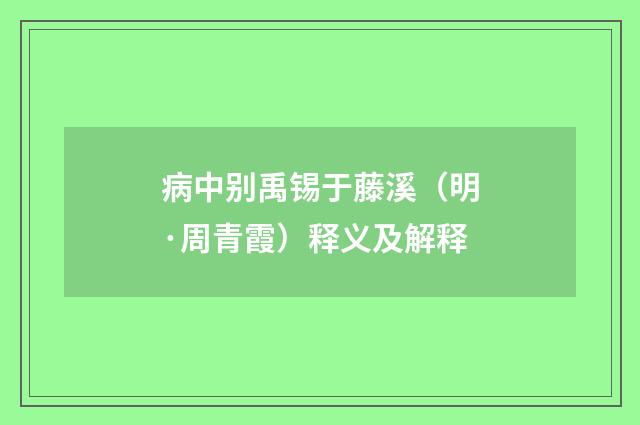 病中别禹锡于藤溪（明·周青霞）释义及解释
