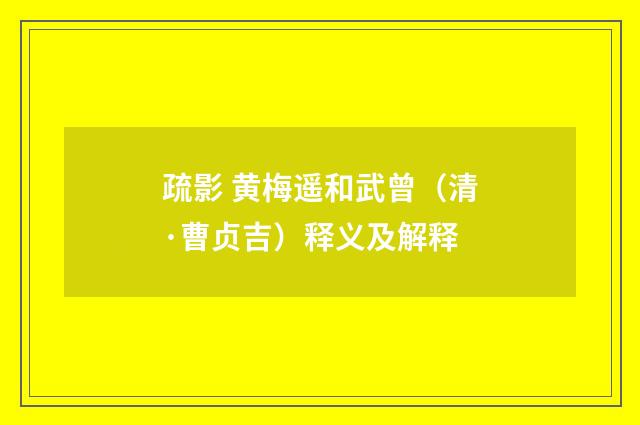 疏影 黄梅遥和武曾（清·曹贞吉）释义及解释