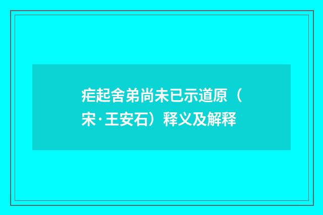 疟起舍弟尚未已示道原（宋·王安石）释义及解释