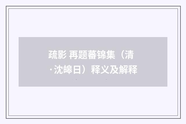 疏影 再题蕃锦集（清·沈皞日）释义及解释