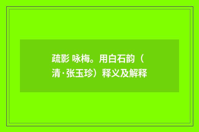 疏影 咏梅。用白石韵（清·张玉珍）释义及解释
