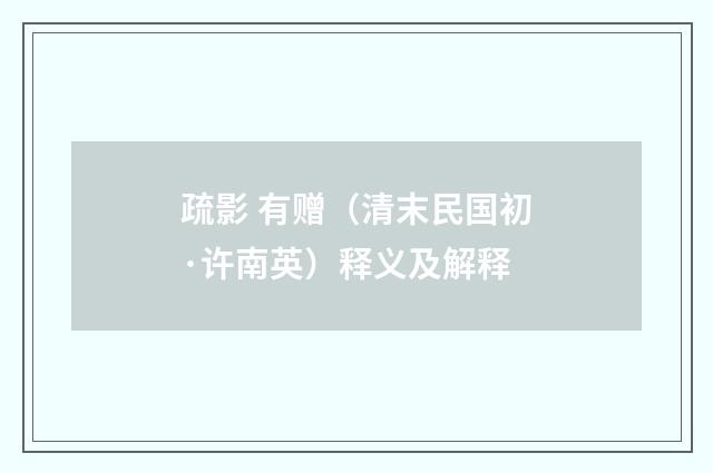 疏影 有赠（清末民国初·许南英）释义及解释