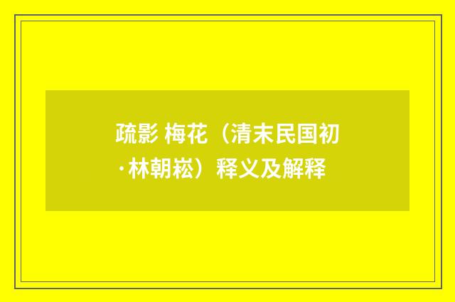 疏影 梅花（清末民国初·林朝崧）释义及解释