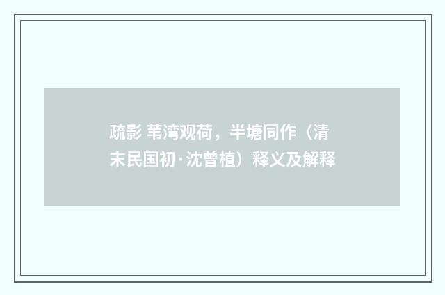 疏影 苇湾观荷，半塘同作（清末民国初·沈曾植）释义及解释