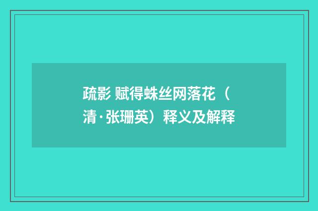 疏影 赋得蛛丝网落花（清·张珊英）释义及解释