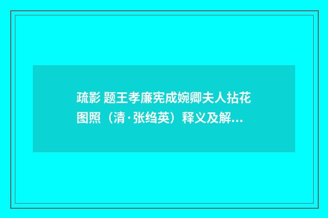 疏影 题王孝廉宪成婉卿夫人拈花图照（清·张绉英）释义及解释