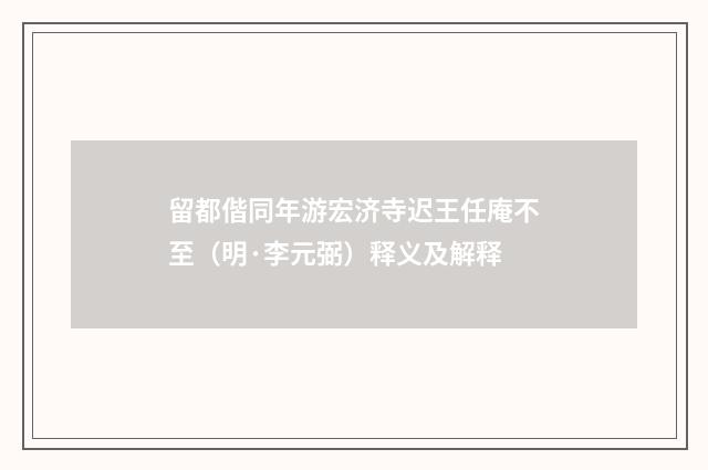 留都偕同年游宏济寺迟王任庵不至（明·李元弼）释义及解释
